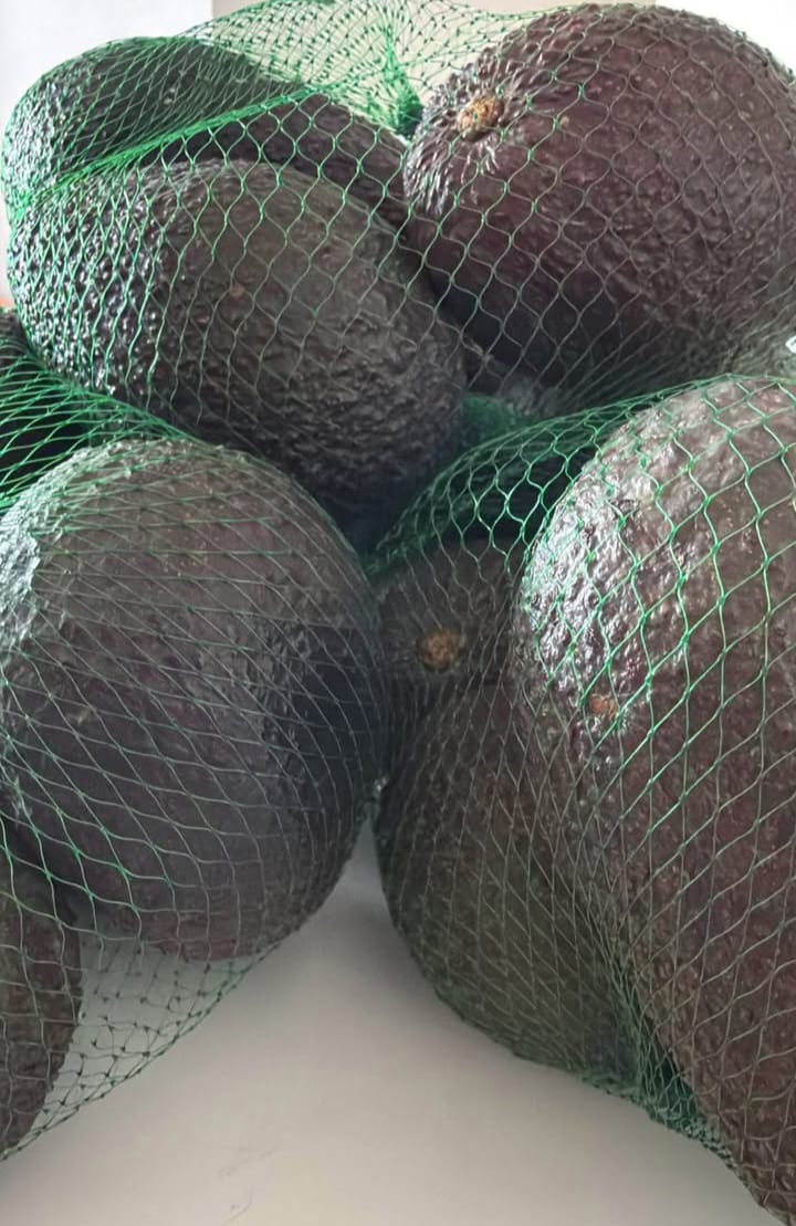 Malla Palta Hass de 5 -10 y 15 Kilos / Calibre Extra por unidad de 265grs a 330grs por Kg + IVA - Imagen 2